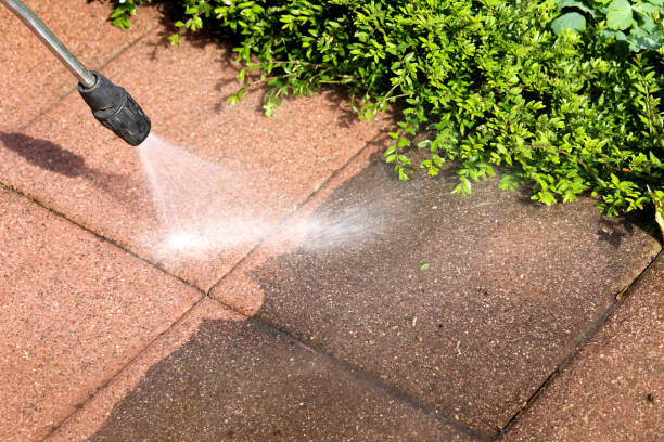 Best Local Pressure Washing Services  in Sloan, NY