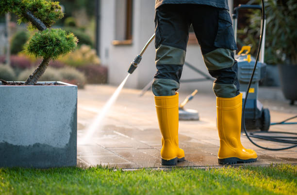 Best Exterior Home Cleaning  in Sloan, NY